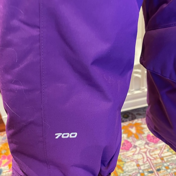 North Face Trans Antarctic Park (Large) - Picture 6 of 10